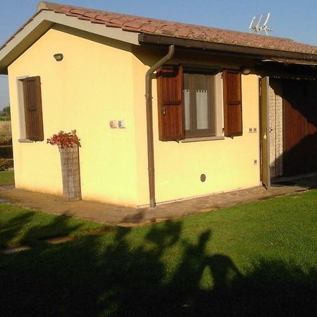 Monolocale Con Giardino Villa Castiglione della Pescaia Luaran gambar