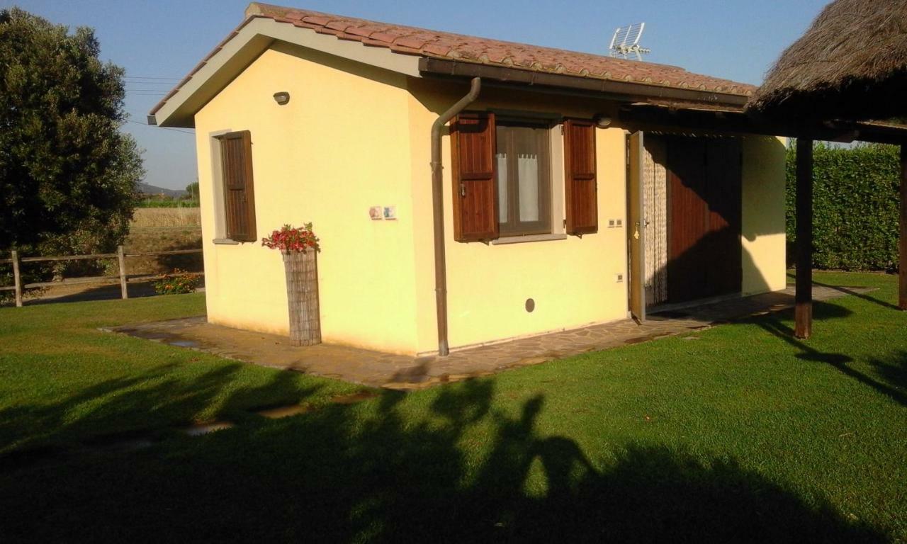 Monolocale Con Giardino Villa Castiglione della Pescaia Luaran gambar