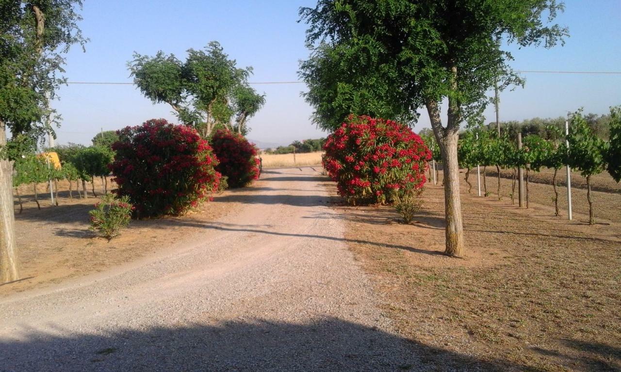 Monolocale Con Giardino Villa Castiglione della Pescaia Luaran gambar