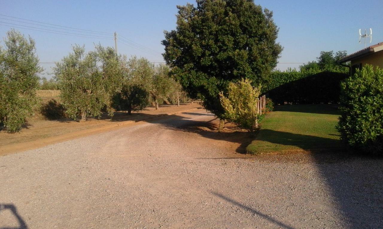 Monolocale Con Giardino Villa Castiglione della Pescaia Luaran gambar